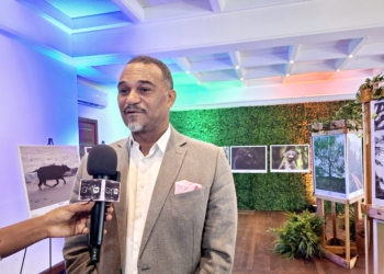 Forêt en majesté : le Gabon expose sa nature avec Amazing Gabon CPAG 2025 et prépare Osaka, photo le Confidentiel.