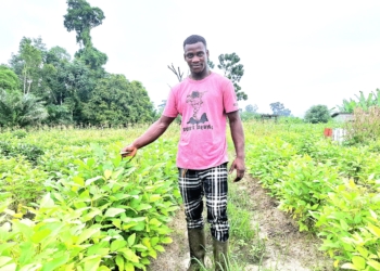 Le rêve vert de Yannick Mvé : Réinventer l'économie gabonaise par l'agriculture, crédit Le Confidentiel.