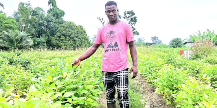 Le rêve vert de Yannick Mvé : Réinventer l'économie gabonaise par l'agriculture, crédit Le Confidentiel.