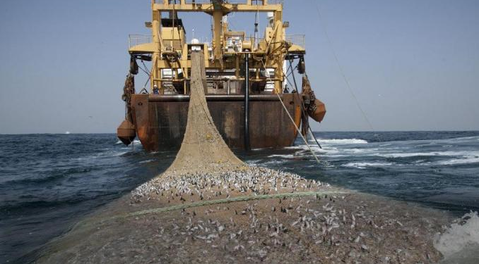 L'Afrique en proie à la pêche illégale : la Chine, un acteur majeur pointé du doigt, crédit DR.