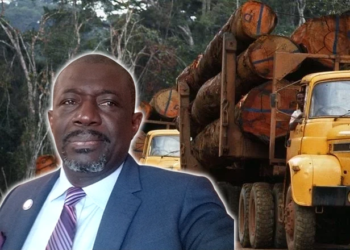 Gabon : la concession du Grand Mayumba au cœur d'un scandale dénoncé par le président du ROSCEVAC, montage photo Le Confidentiel.