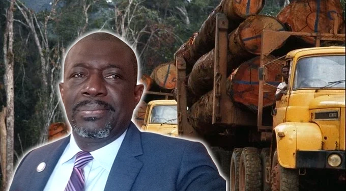 Gabon : la concession du Grand Mayumba au cœur d'un scandale dénoncé par le président du ROSCEVAC, montage photo Le Confidentiel.
