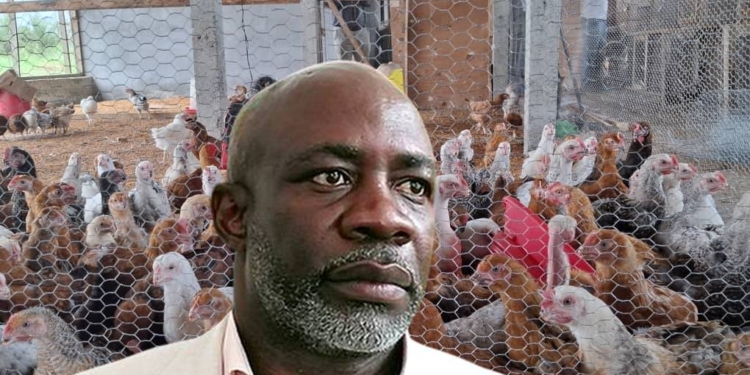 Hervais Omva Ovono : Pourquoi le développement avicole est indispensable au Gabon, montage Le Confidentiel.