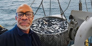 Hervais Omva : « La mer gabonaise doit d’abord nourrir les Gabonais », montage photo Le Confidentiel.
