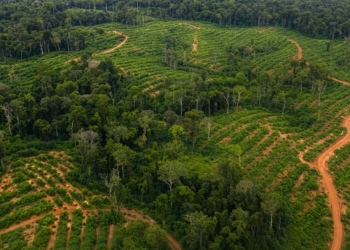 Zones agricoles à forte productivité : où sont les terres promises aux agriculteurs ? Montage photo Le Confidentiel, crédit photo DR.