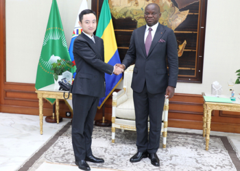 Le Gabon, futur hub numérique régional grâce à Huawei ? Crédit DR.