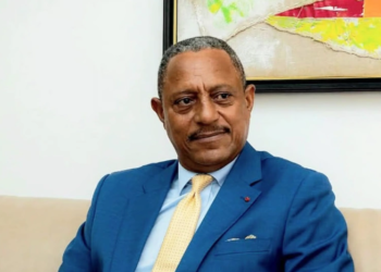 Gabon - L'ex-ministre Ogowe Sifon présenté au juge : le point sur les accusations