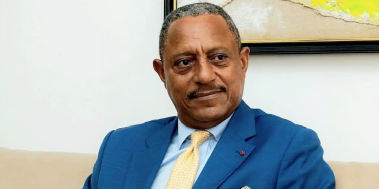 Gabon - L'ex-ministre Ogowe Sifon présenté au juge : le point sur les accusations