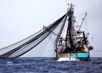 Le Gabon met fin à l'accord de pêche avec l'Union européenne en 2026, photo DR.