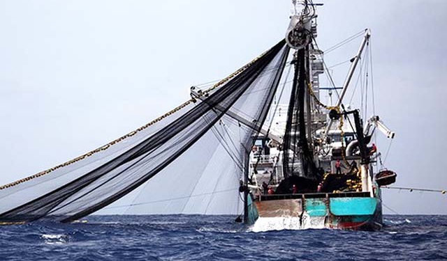 Le Gabon met fin à l'accord de pêche avec l'Union européenne en 2026, photo DR.