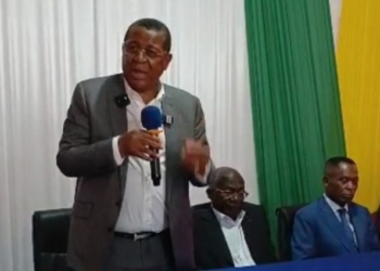 Gabon : Crise au PDG, l'élite du Woleu-Ntem fait sécession, photo capture d'écran.